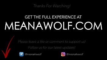 For The Fans Meana Wolf